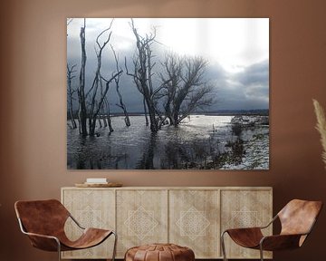 Natuur van Fotonatuurlijk