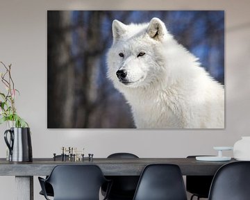 Arctic White Wolf van Renald Bourque