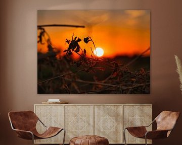 Zomerhitte in het avondlicht van Lakeside Explorer