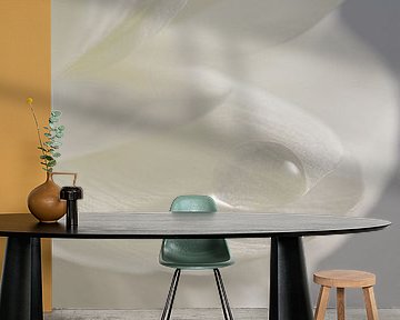 Pure and soothing: Drop on a white petal by Marjolijn van den Berg