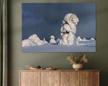 Winter landschap met sneeuw en rijp bedekte bomen