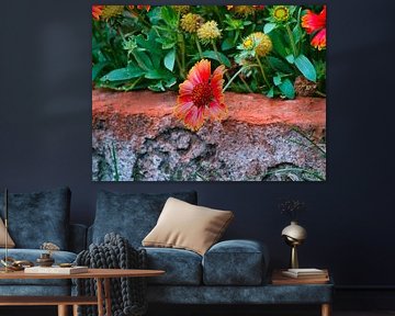 Fleur lumineuse dans le jardin