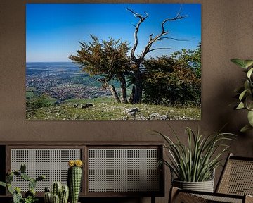 Albtrauf, Swabian Alb III