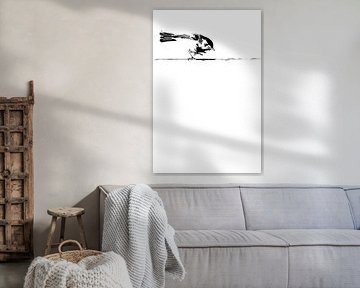 Rouge-gorge sur un rebord de fenêtre, minimaliste en noir et blanc