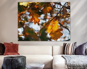 Feuilles d'automne sur Kirsten van Engelenburg