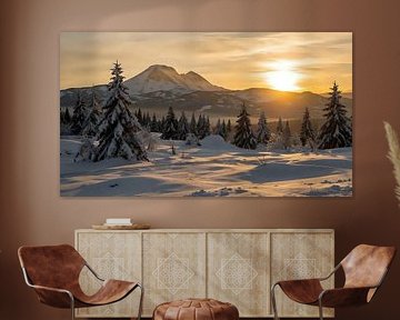 Enchanted Winter Twilight