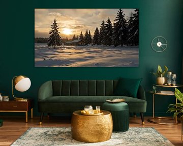 Sparkling winter dreams