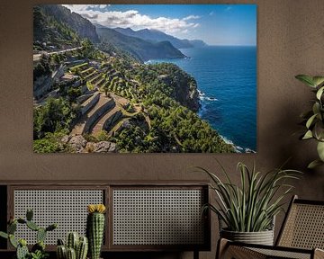 Terraces on the west coast near Torre des Verger, Mallorca by Christian Müringer