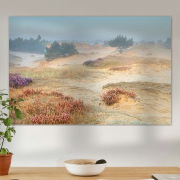 A quiet morning in the heath dunes