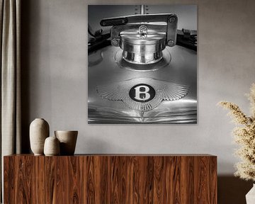 Radiateurdop Bentley Speed Eight