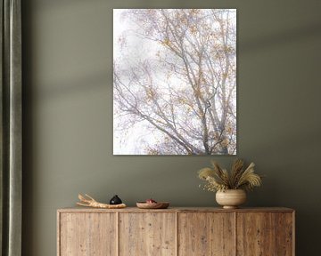 Golden Silence – Misty tree branches with golden leaves | Soft minimalist nature photography by Gertinez Gallery