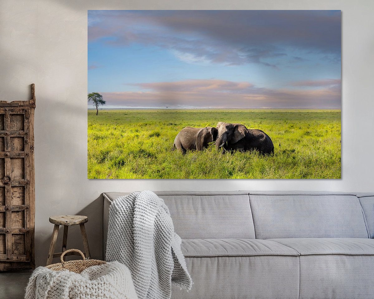 Voorbeeld van het werk in een kamer