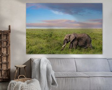 Afrikanischer Elefant von Tilo Grellmann