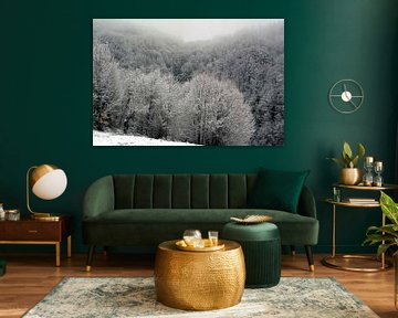 Das stille Erwachen des frostgebundenen Hochlandwaldes von Artistic