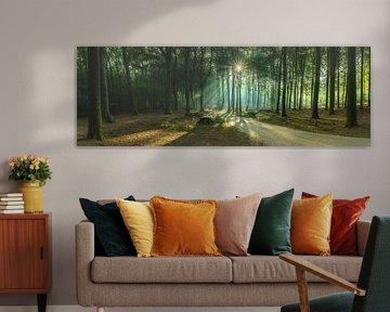 Bospad met zonlicht door groene bladeren en takken van Fotografiecor .nl