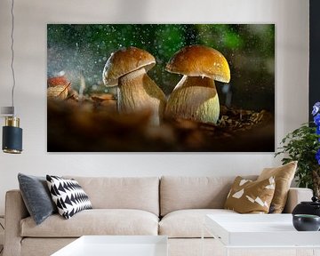 Cèpes mushrooms in the rain: a culinary treasure by Fotografiecor .nl