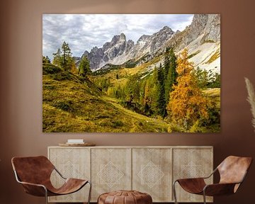 Auf der Alm in Filzmoos