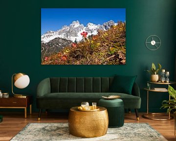 Die Bischofsmütze im schönen Filzmoos