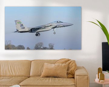 Bayou Militia McDonnell Douglas F-15C Eagle.