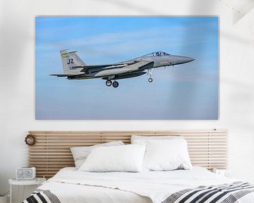 Bayou Militia McDonnell Douglas F-15C Eagle.