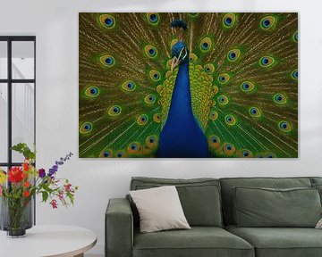 Peacock tail full of eye patterns by Art & Soul Creations