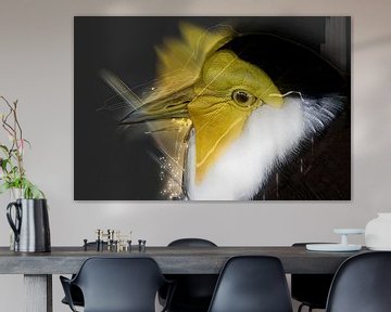 Bird by Jos Verhoeven