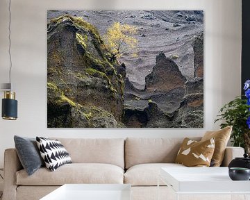 Arbre solitaire dans la gorge de Stakkholtsgjá