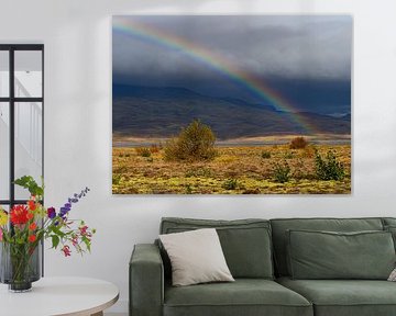 Rainbow over Þórsmörk by Dick Hoogenboom