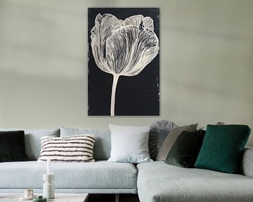 Stripe Tulip