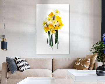 Tête-à-Tête – Gelbe und weiße Narzissen vor hellem Hintergrund | Minimalistische Blumenfotografie von Gertinez Gallery