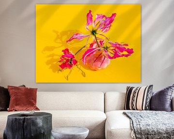 Luminous Swirl – Colourful flowers with neon pink and yellow | Modern colour pop flower photography by Gertinez Gallery