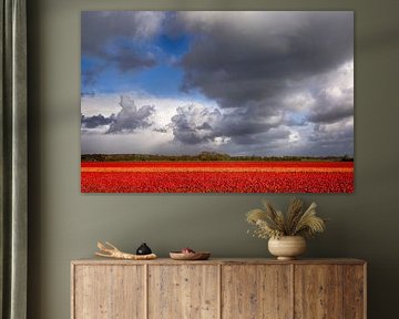 Dramatischer Horizont. von Astrid Volten