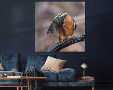 Polishing kingfisher von Lies Bakker