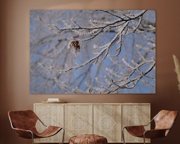 Gefrorener Nebel von Framed by Elisabeth