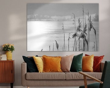 Reetbüschel am Eis von Framed by Elisabeth