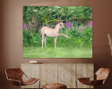 Dulmen ponyveulen in een bloeiende weide van Katho Menden