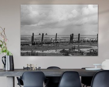 Het wad in zwart - wit