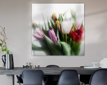 tulips by Marc Stoppenbach