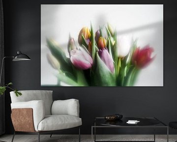 tulips by Marc Stoppenbach