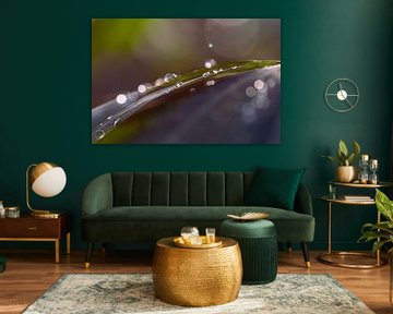 Tropfen auf einem Blatt von Author Sim1