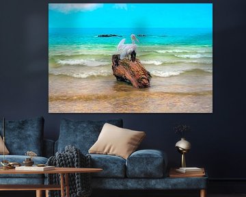 Pelican on driftwood