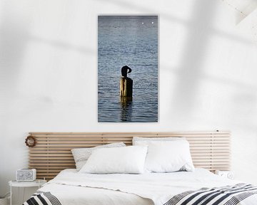 Silent Watch on the Water