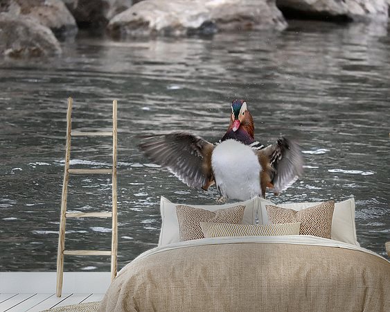 Aperçu de la chambre