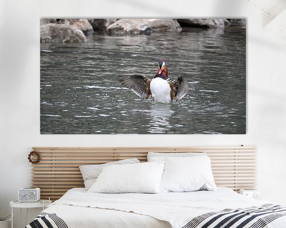 Aperçu de la chambre