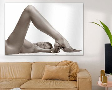 erotic female nude in high key style, breasts, legs