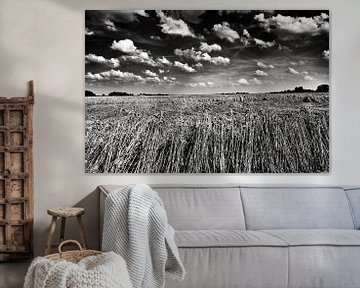 Graan in polderlandschap in zwart-wit van Jan Sportel Photography