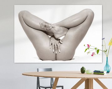 erotic female nude in high key style, breasts, legs
