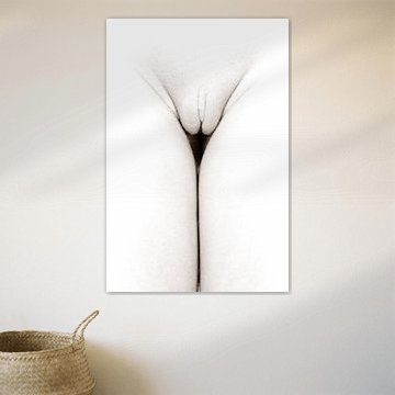 erotic female nude in high key style