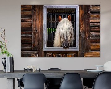 BLONDIE A DE BEAUX CHEVEUX GRÂCE À IA