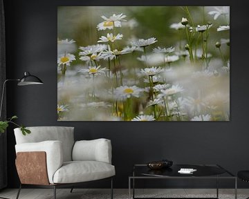 Verträumte weiße Blüten von Anna Hogewoning